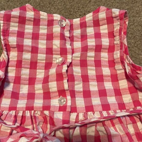 Youngland Pink and White Gingham with Flower Decals and 1/2 Button Up Back Dress - Picture 4 of 5